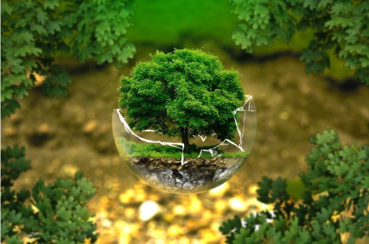 Environmental License in Indonesia Key to Compliance and Business Sustainability