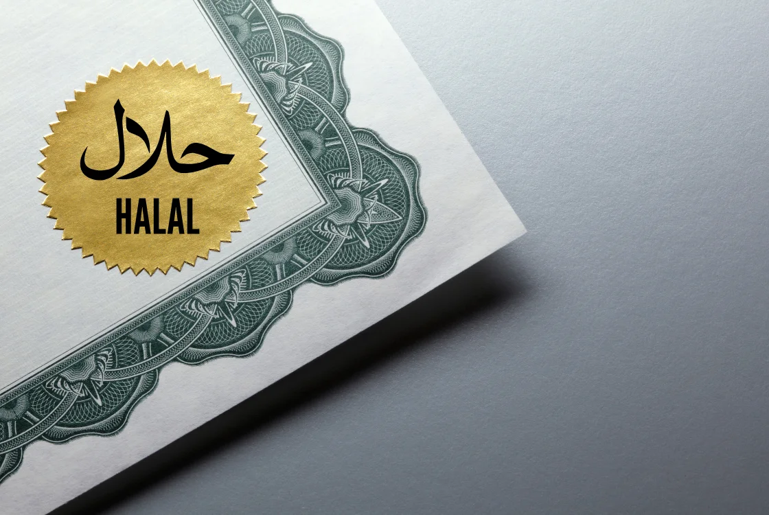 Self-declare vs regular halal certification pathway comparison Indonesia.